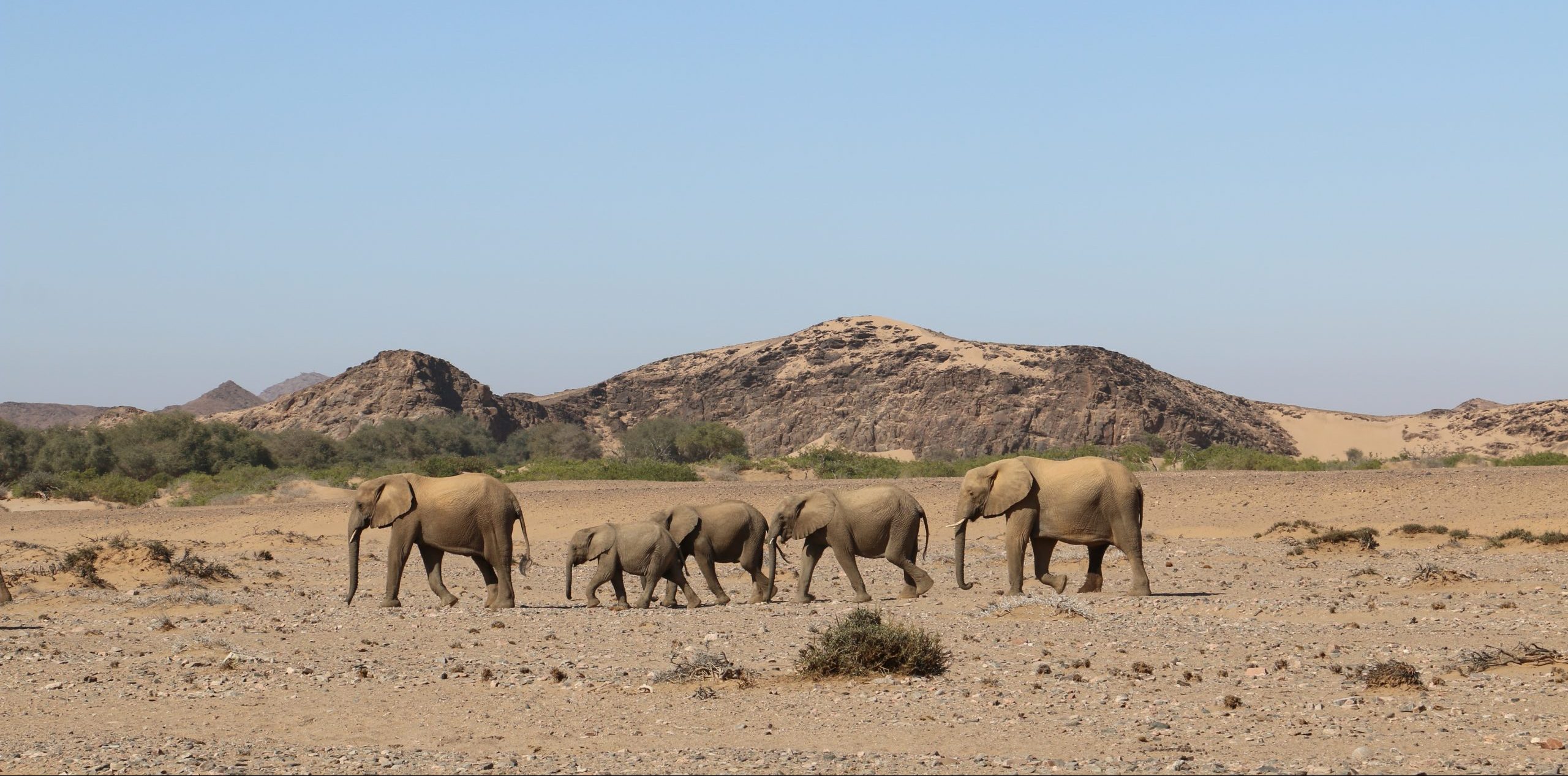 der tours namibia