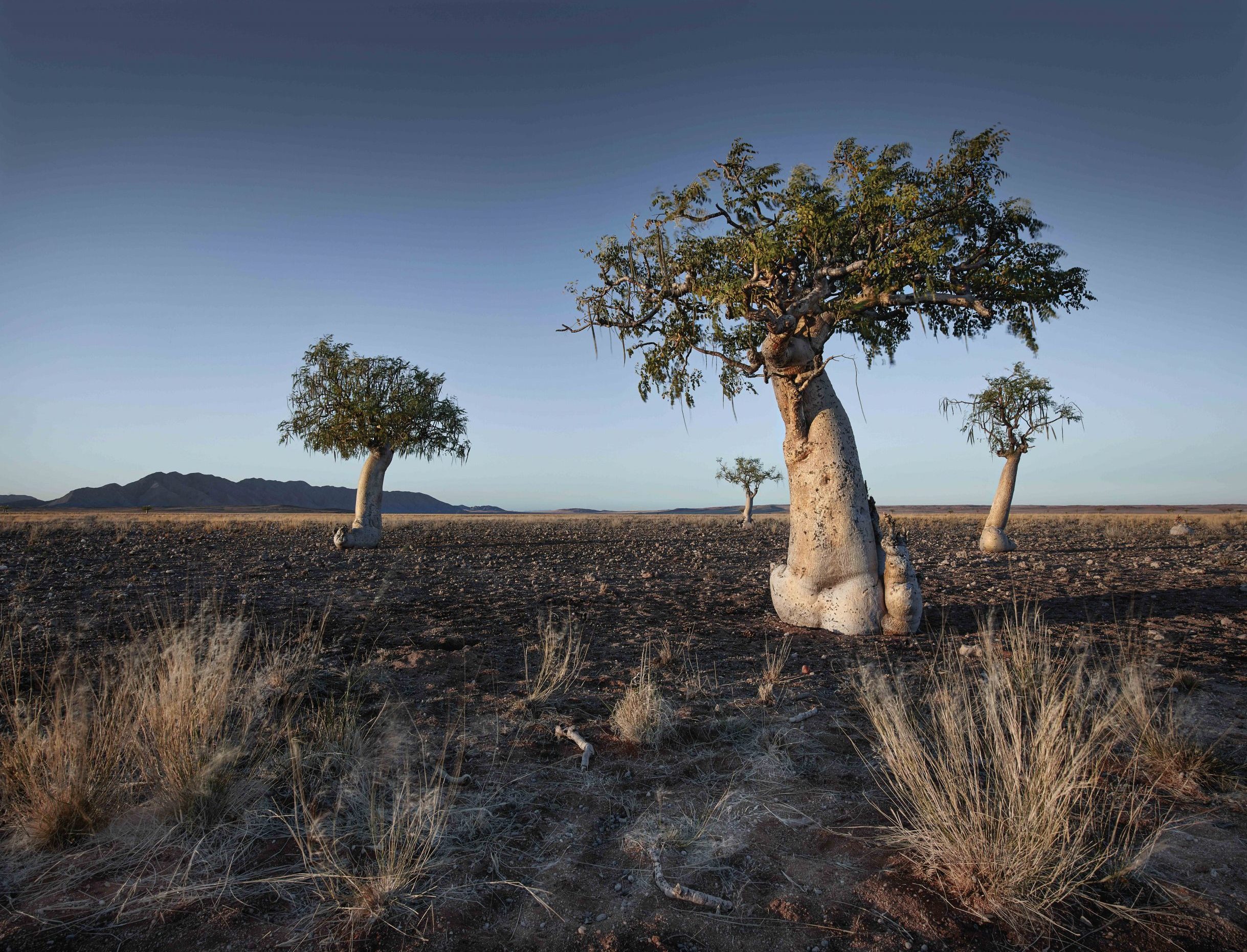 LIBERATING - this is namibia