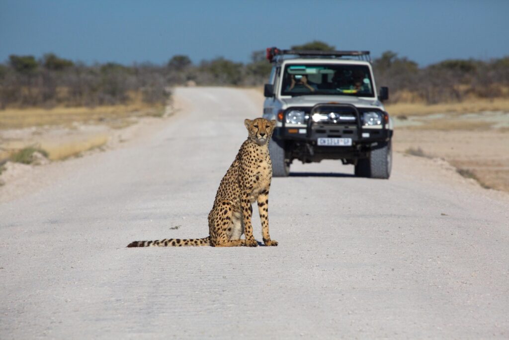 travel route namibia