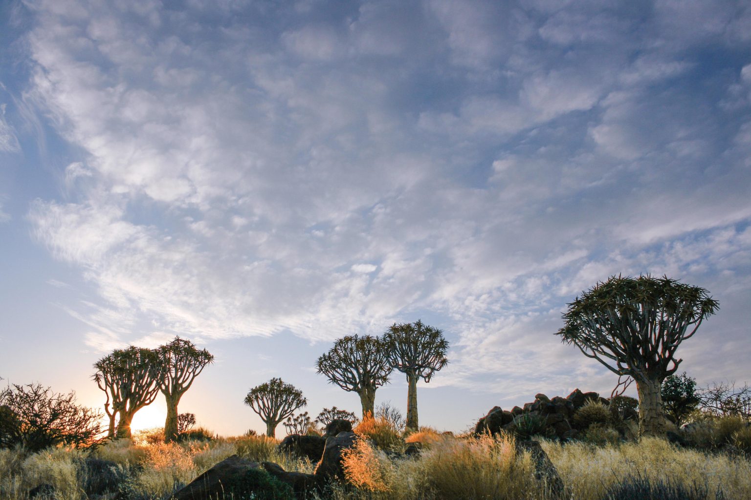 Environment - this is namibia